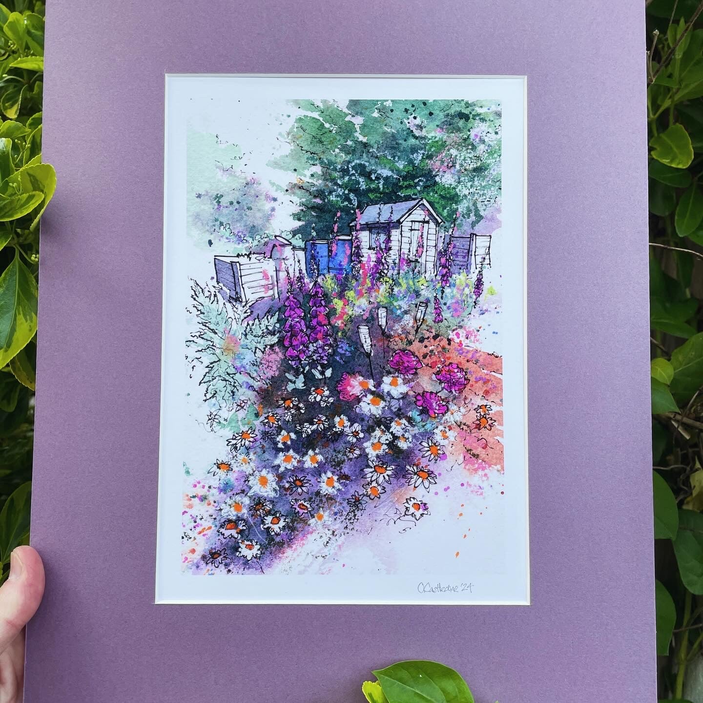 A Wildflower Plot. Mounted Print